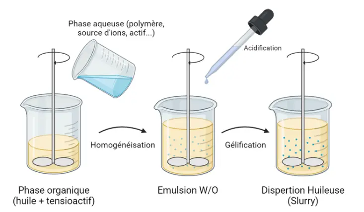 Image 4 : Encapsulation par gélification ionotropique