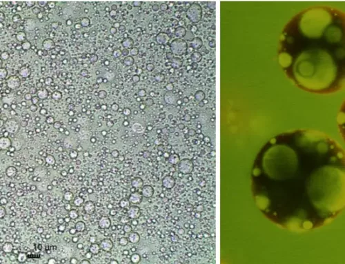 Technologies de microencapsulation basées sur les émulsions