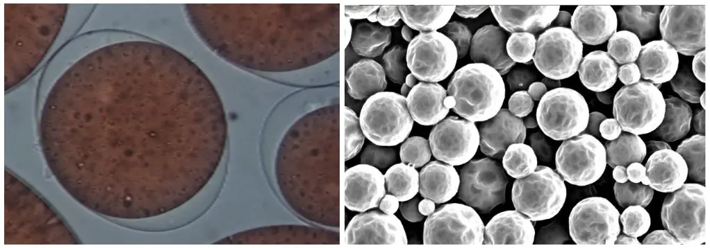 Microscopie de microparticules par polymérisation interfaciale